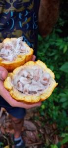 a person is holding a sandwich with shrimp in it at Jardin Botanico Bellavista in Santo Domingo de los Colorados +26 photos
