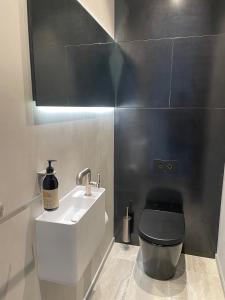uma casa de banho com um WC e um lavatório em The Ivy Box Apartment em Queenstown