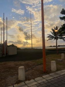 an orange pole in the grass with a palm tree at Studio « Ti Thon » avec vu magnifique sur la Montagne du Vauclin in Le Vauclin