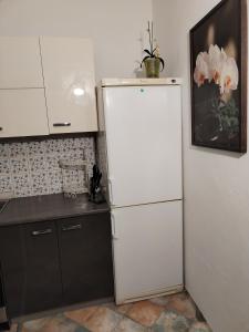 Köök või kööginurk majutusasutuses Apartmán Isabel