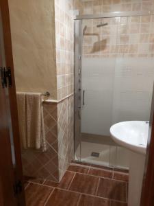 a bathroom with a glass shower and a sink at CASA RURAL EL OLIVO in Logrosán