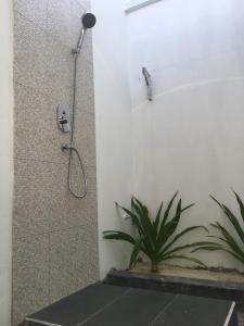 a shower in a bathroom with a plant at Vaali Maldives Island Escapes & Dive in Felidhoo