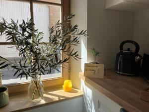 Ảnh trong thư viện ảnh của Studio centre-ville Merville ở Merville