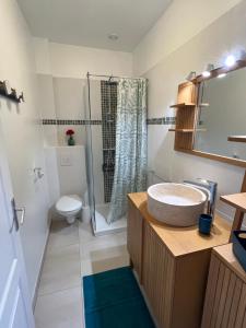 a bathroom with a sink and a toilet and a shower at JOLIE CREOLE- Villa sur le lagon in La Saline les Bains