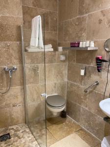 ベルガルドにあるLe President-Gare Nimes Pont Du Gardのバスルーム(シャワー、トイレ、洗面台付)