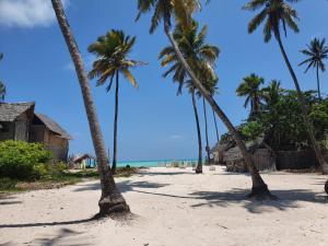 a group of palm trees on a sandy beach at Baraka house in Kidenga +18 photos