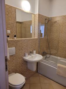 a bathroom with a sink and a toilet and a shower at Sinaia Belleview in Sinaia