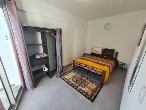a small bedroom with a bed and a shelf at T-3 Hypercentre Saint Denis Rue Piétonne in Saint-Denis