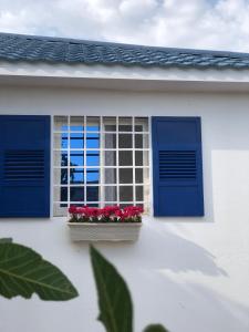 a window with blue shutters and flowers in a window box at Altaraf Resort in Al Shafa