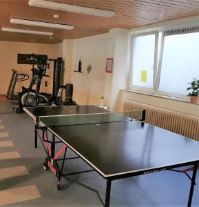 una mesa de ping pong en una habitación con ping pong en Ferienwohnung Waldkäuzle27, en Lenzkirch