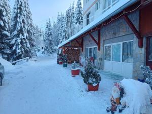 Kuca za odmor ''Djurovic'' durante el invierno