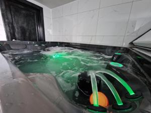 uma banheira de hidromassagem com água verde em Tendresse - Espace Détente Ensival em Verviers
