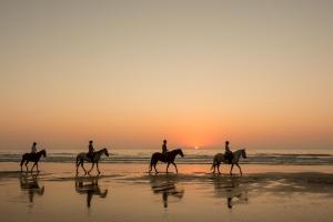 três pessoas andando a cavalo na praia ao pôr do sol em Hill top view farm stay em Uruti