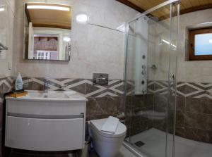 y baño con ducha, aseo y lavamanos. en Lovely Villa with Backyard in Bozcaada near Beach en Çanakkale