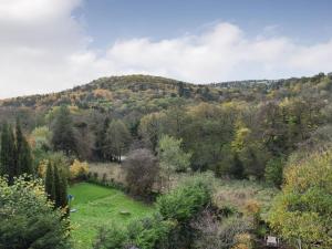 a green field in the middle of a forest at Vine Cottage in Crich