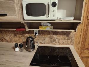 Kuchyň nebo kuchyňský kout v ubytování Zámecký apartmán - Castle apartment + 1 fotografie