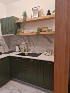 A kitchen or kitchenette at Avram
