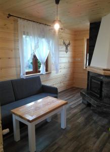 sala de estar con sofá y chimenea en Domek u Stolarza, en Grywałd