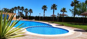 una piscina en un patio con palmeras en ACV Primera Línea, en Oropesa del Mar