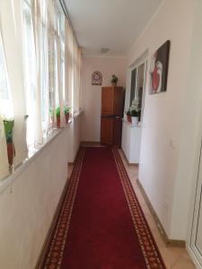 a hallway with a red carpet and windows at Alin Apartament in Iaşi