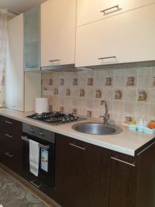 a kitchen with a sink and a stove at Alin Apartament in Iaşi