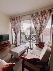 Blossom Silverpark Apartment في بوكيت فريزر: غرفة معيشة مع أريكة ونافذة كبيرة