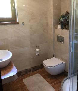 a bathroom with a toilet and a sink and a shower at HOTEL GALERIA PEZINSKA BABA in Pezinok