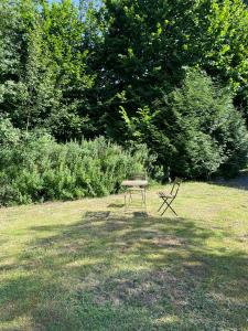 ławka w parku siedząca na środku pola w obiekcie Le Hérou w mieście Houffalize