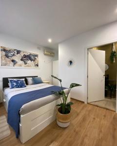 a bedroom with a bed and a potted plant at Hostal Orange Vibes in Paterna