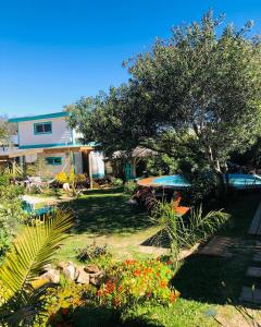 een tuin met een zwembad en een boom en bloemen bij Posada Agua Marina in La Paloma