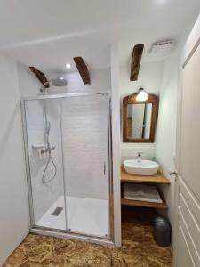 a bathroom with a shower and a sink at Maison typique Auvergnate, piscine et four à pain in Saint-Christophe-les-Gorges