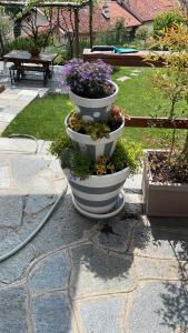 3 pots de fleurs assis au-dessus d'un patio dans l'établissement monolocale incantevole, à Sordevolo