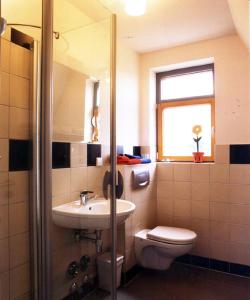 a bathroom with a sink and a toilet and a window at Aalreuse in Wieck