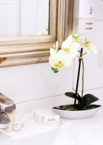 a white flower in a white bowl on a counter at Stadthotel Restaurant Auerhahn in Vöcklabruck