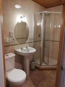 a bathroom with a shower and a toilet and a sink at Newton House in Alstonfield