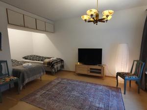 uma sala de estar com uma televisão de ecrã plano e um sofá em Apartment Marja's place em Rovaniemi