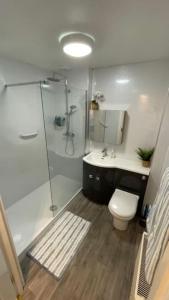 een badkamer met een douche, een toilet en een wastafel bij Peebles Cardona Cozy 2 x bedroom Apartment in Cardrona Mains