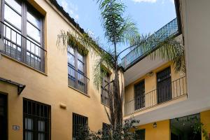 budynek z oknami i palmą przed nim w obiekcie -MalagaSunApts- Premium Historical CityCentre w Maladze