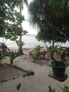Gallery image of Marine homestay in Fam