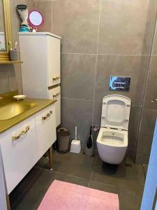 un piccolo bagno con servizi igienici e lavandino di Villa Maya a Şile