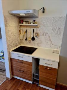 cocina con fregadero y encimera en Apartment Pemper - Self check in and check out, en Otočac