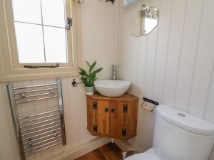 a bathroom with a toilet and a sink and a window at Shepherds View in Rhayader
