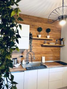 Kuhinja ili čajna kuhinja u objektu TOP Apartman