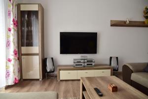 TV a/nebo společenská místnost v ubytování Apartmán Lukov