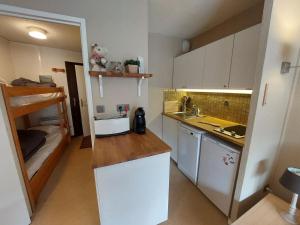 Cuisine ou kitchenette dans l'établissement Studio Les Deux Alpes, 1 pièce, 4 personnes - FR-1-516-76