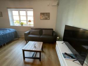 TV a/nebo společenská místnost v ubytování Jonstrupvejens Apartments Lejl B