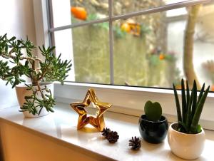 un davanzale con piante e una stella sopra di Apartament Na Krzywym Kole a Kazimierz Dolny