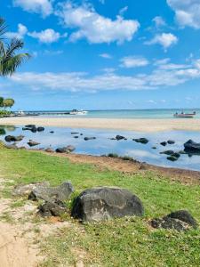 einen Strand mit Felsen im Wasser und einer Palme in der Unterkunft O’ Paradis D’Albion in Albion