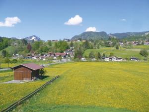 a field of yellow flowers next to a small house at Bergzeit Ferienwohnungen in Oberstdorf