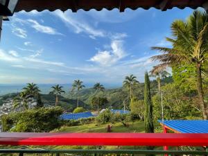 a red bench with palm trees and a view at El Gran Mirador in Buenavista